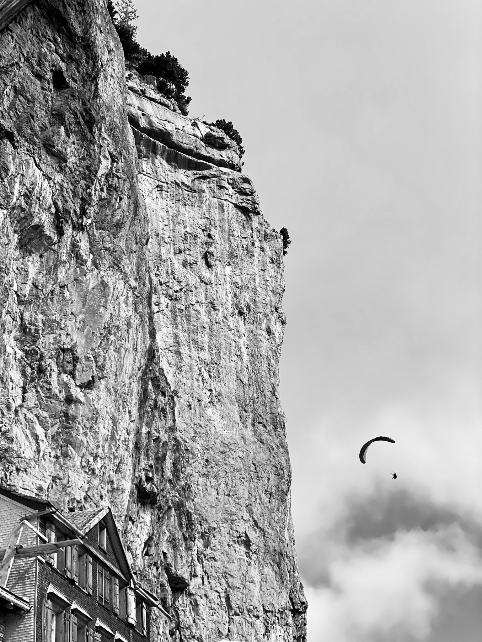 Mountain VIII